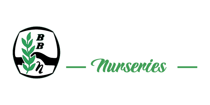 Blackbridge Nurseries